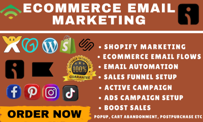 I Will Set Up Klaviyo, Omnisend, and Email Marketing for Your Shopify or E-commerce Store