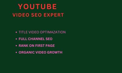 I Will Optimize Your YouTube Videos for SEO to Boost Your Channel Ranking Organic