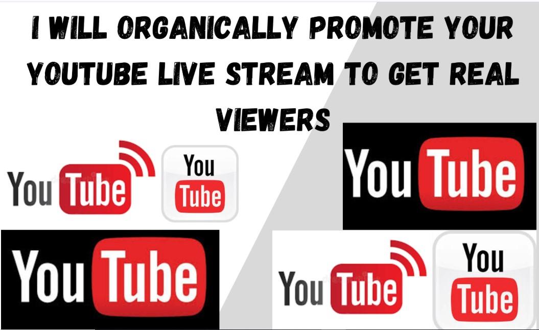 I Will Organically Promote Your YouTube Live Stream to Get Real Viewers