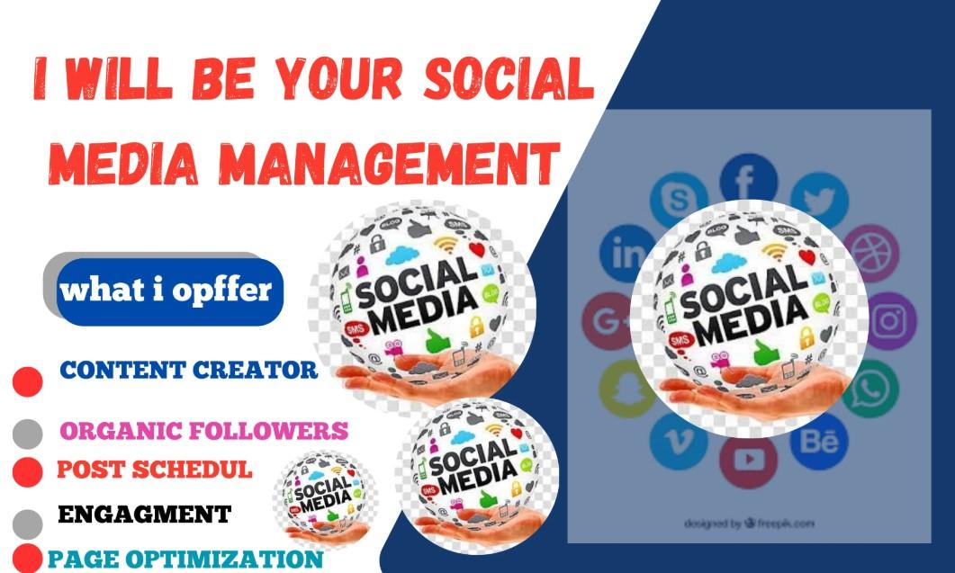 I Will Be Your Social Media Management and Your Content Creator