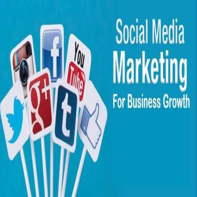 You Will Get Your Social Media Marketing Manager for Real Estate Business Growth