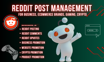 I Will Create Reddit Posts for Your E-commerce Business, Crypto Blog, and Manage Temu Ads