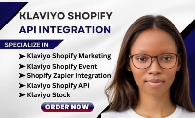 I Will Streamline Your Shopify Email Marketing with Klaviyo and API Integrations