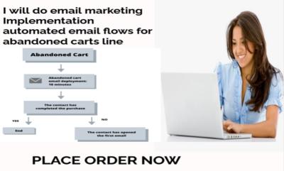 I Will Be Your Expert Email Marketing Manager for eCommerce Dropshipping and Abandoned Sales Pages