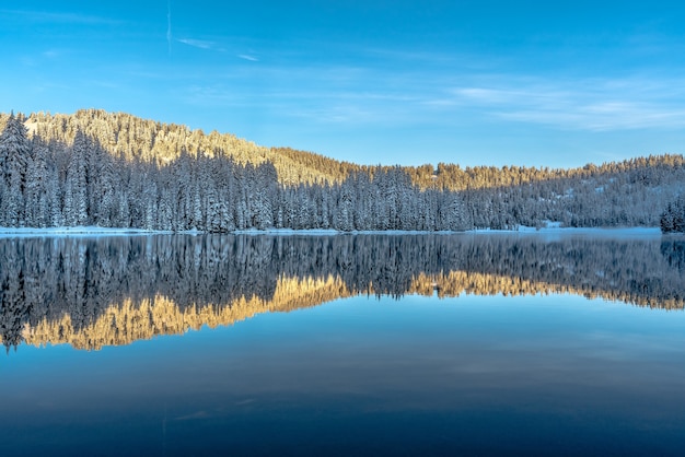 Beautiful Scenery of Trees Reflecting on a Lake Surrounded by Mountains – Free Stock Photo, Download Free