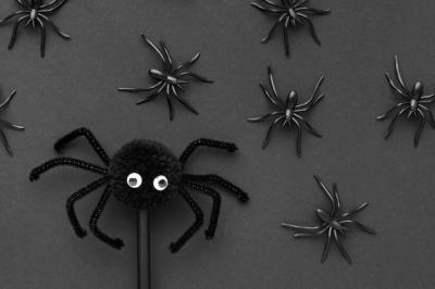 Top View Creepy Halloween Concept with Spiders – Free Stock Photo Download