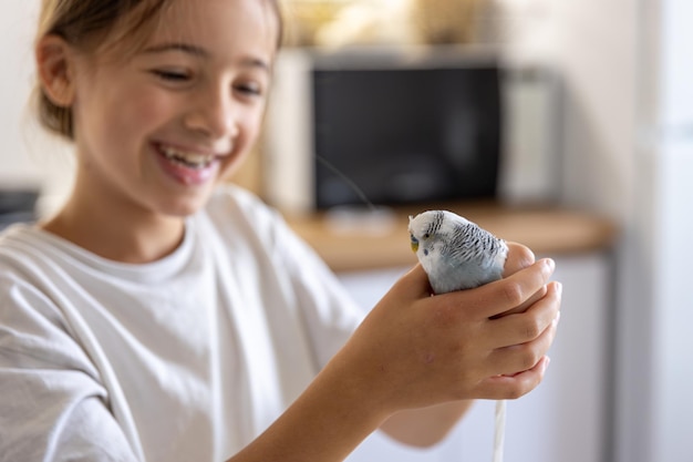 Beautiful Little Girl Playing with a White and Blue Budgie – Free Stock Photo for Download