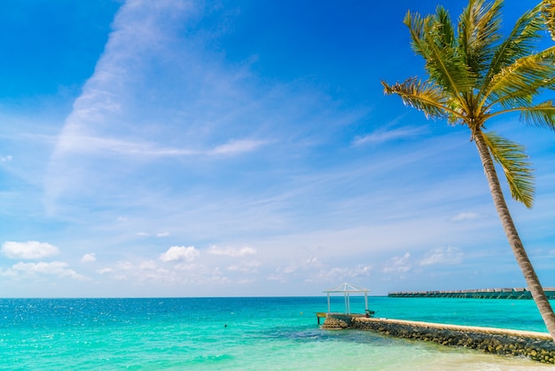 Beautiful Tropical Maldives Island with White Sandy Beach and Palm Trees – Free Stock Photo for Download