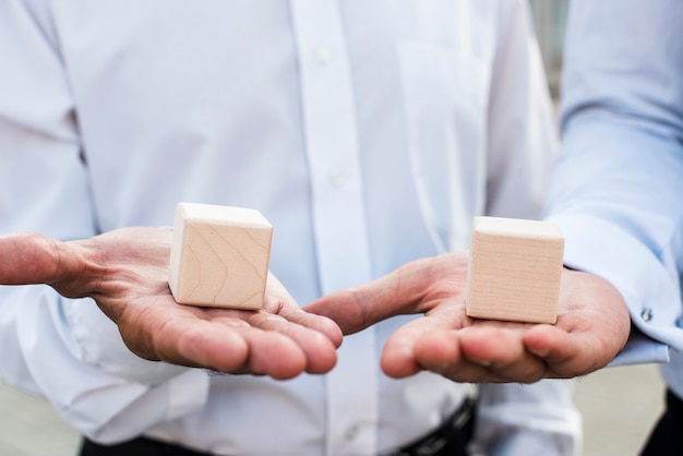 Businessmen Holding Cubes – Free Stock Photo for Download