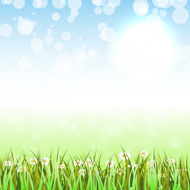 Beautiful Grass and Flowers Background – Free Download