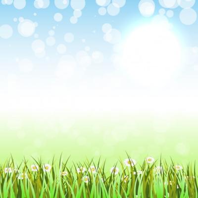 Beautiful Grass and Flowers Background – Free Download