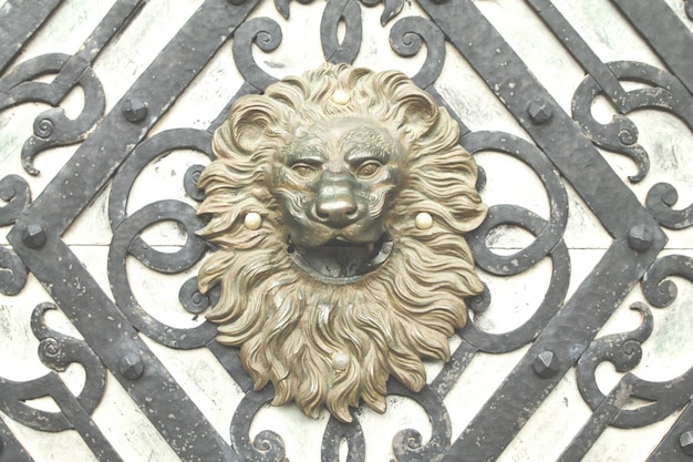 Old Lion Head Door – Free Stock Photo for Download