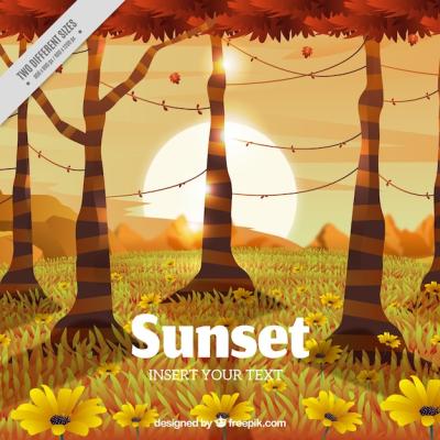 Serene Sunset Over Log Background – Free Download