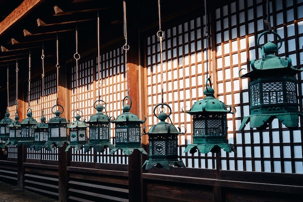 Kasuga Grand Shrine Bathed in Sunlight – Free Stock Photo Download