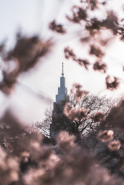 Selective Focus of Tower Building – Free Stock Photo, Download for Free