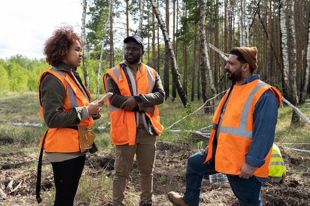 Reforestation Efforts by Volunteer Groups – Free Stock Photo for Download