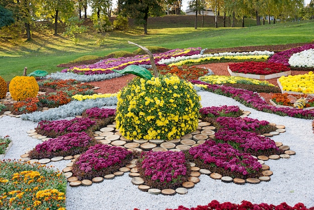 Colorful Chrysanthemums in Apple-Shaped Flower Bed at Parkland, Kiev, Ukraine – Free Download