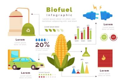 Hand Drawn Biofuel Infographic – Free Stock Photo, Download for Free