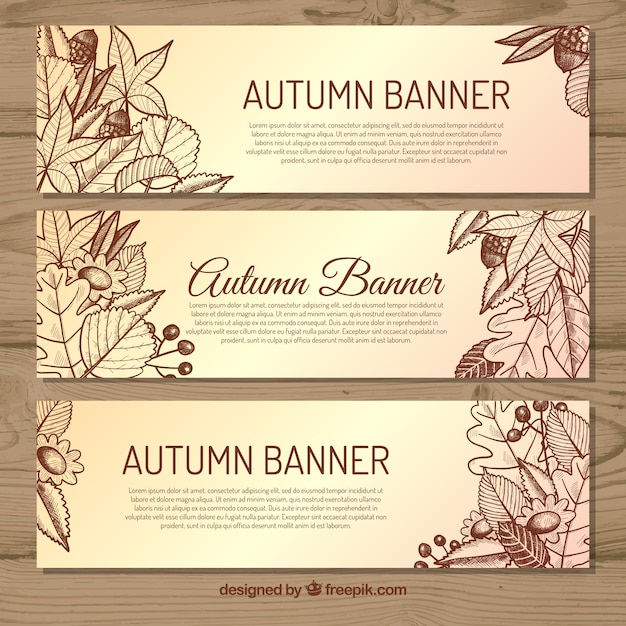 Hand Drawn Autumn Banners for Your Creative Projects – Free Download