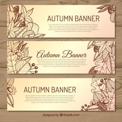 Hand Drawn Autumn Banners for Your Creative Projects – Free Download