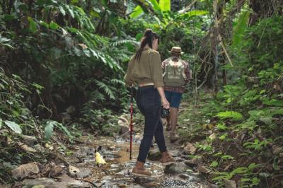 Male and Female Tourists Enjoying the Forest – Free Stock Photo for Download