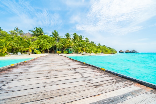 Stunning Maldives Island Views – Free Download