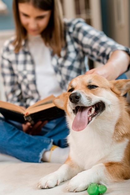 Happy Dog and Woman Reading Together on Couch – Free Stock Photo for Download