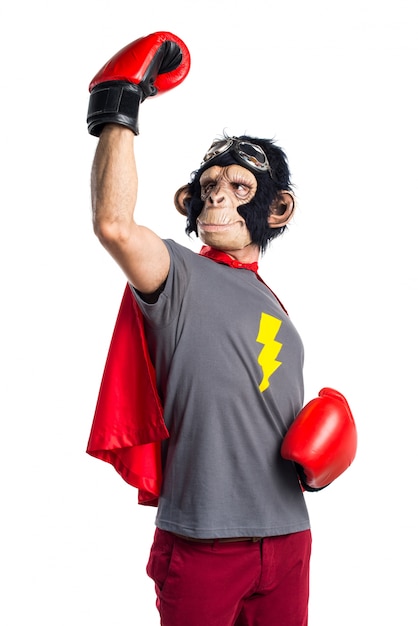 Lucky Superhero Monkey Man with Boxing Gloves – Free Stock Photo, Download for Free