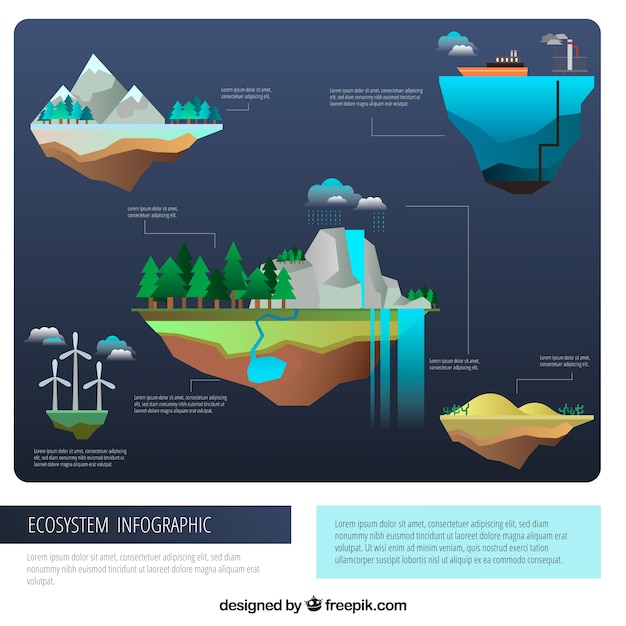 Ecosystem Infographic Concept – Free Download