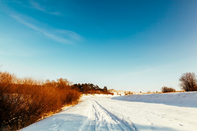 Diminishing Perspective Ski Track on Snowy Landscape Against Blue Sky – Free Stock Photo, Download for Free