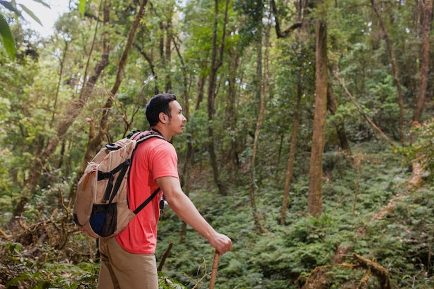 Hiker in Jungle – Free Stock Photo for Download