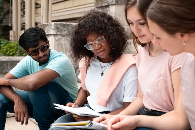 Young Colleagues Studying Together for a College Exam – Free Download