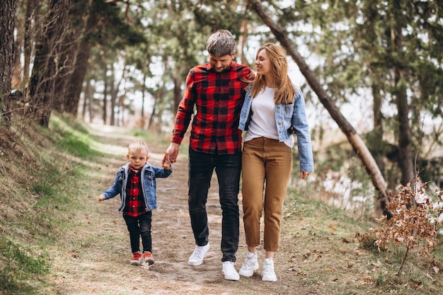 Young Family Exploring the Forest Together – Free Stock Photo for Download