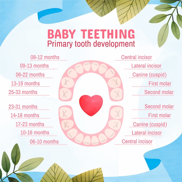 Watercolor Baby Weight Infographic for Effective Visual Communication – Free Download