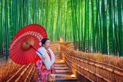 Bamboo Forest: Asian Woman in Traditional Kimono in Kyoto, Japan – Free Download