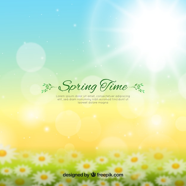 Blurred Spring Background – Free Stock Photo for Download