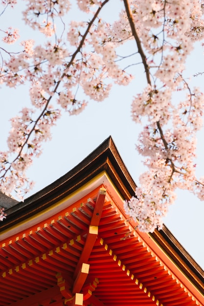 Gable of Temple and Sakura – Free to Download