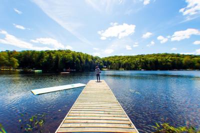 Musician by the Lake Under a Sunny Sky – Free Stock Photo, Download Free