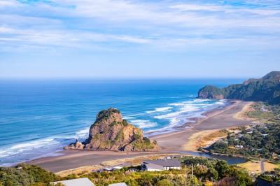 Piha Beach and Lion Rock – Free Stock Photo, Download for Free