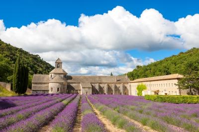 Abbey of Senanque Surrounded by Blooming Lavender in Provence, France – Free Download