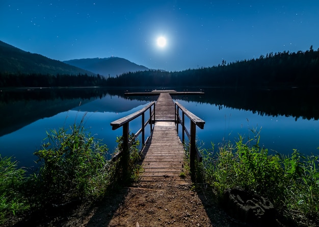 Brown Wooden Dock – Free Download, Free Stock Photo