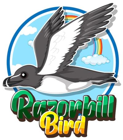 Razorbill Bird Logo Cartoon Character – Free Download, Download Free Stock Photo