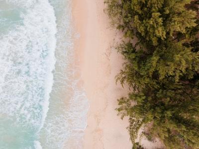 Breathtaking Hawaii Landscape with Ocean – Free Stock Photo Download