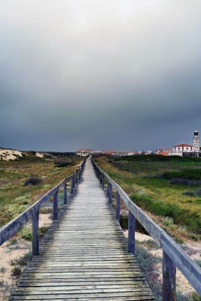 Before the Storm – Free Stock Photo Download