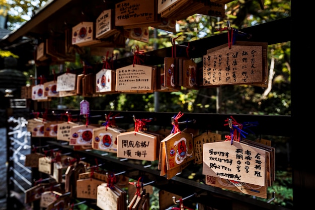 Japanese Inscriptions Hanging at the Temple – Free Stock Photo for Download