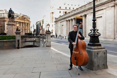 Musician Playing the Double Bass – Free Stock Photo, Download Free