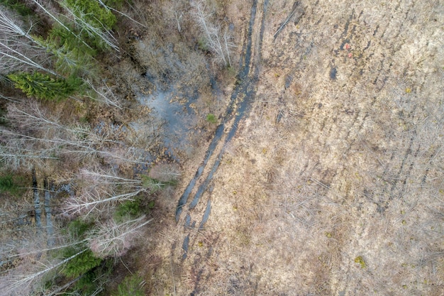 Aerial View of a Dense Forest with Winter Trees and Fallen Leaves – Free Stock Photo for Download