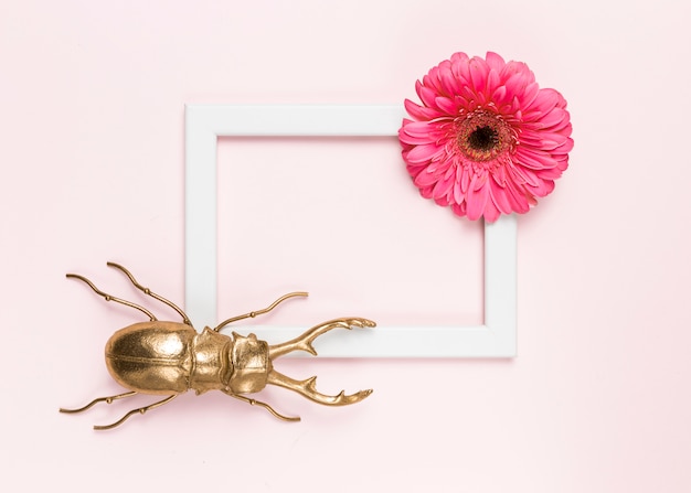 Flower, Beetle, and Frame – Free to Download Free Stock Photos