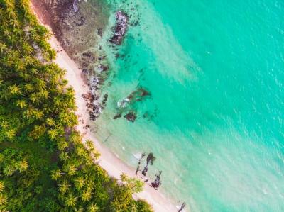 Aerial View of Beautiful Beach and Sea with Coconut Palm Tree – Free Stock Photo for Download