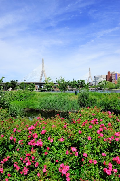 Boston Bridge – Free Stock Photo for Download